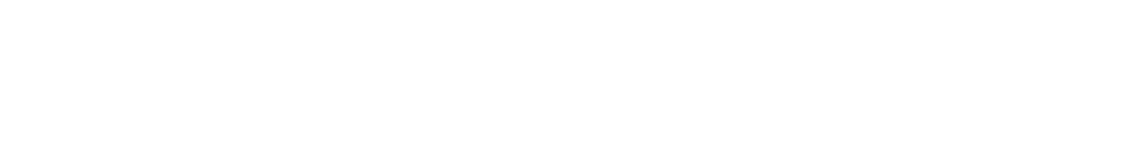 StrassenZeit.de Logo